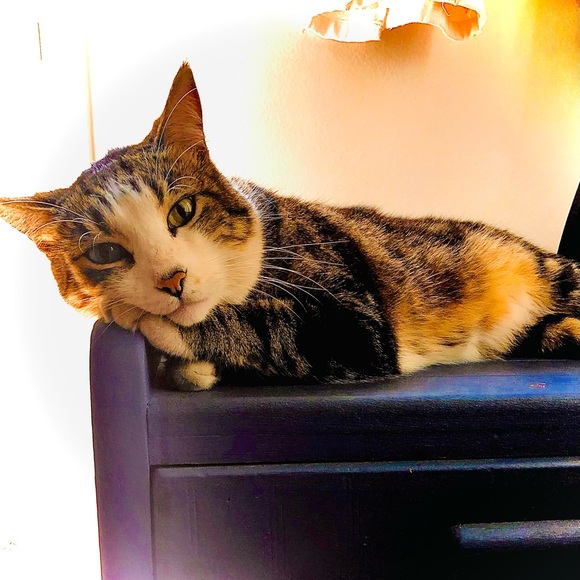 Meet your Posher, Kathryn - Picture 2 of 14